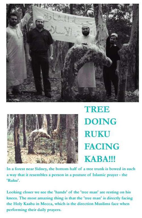 Allahu Alim, It just might