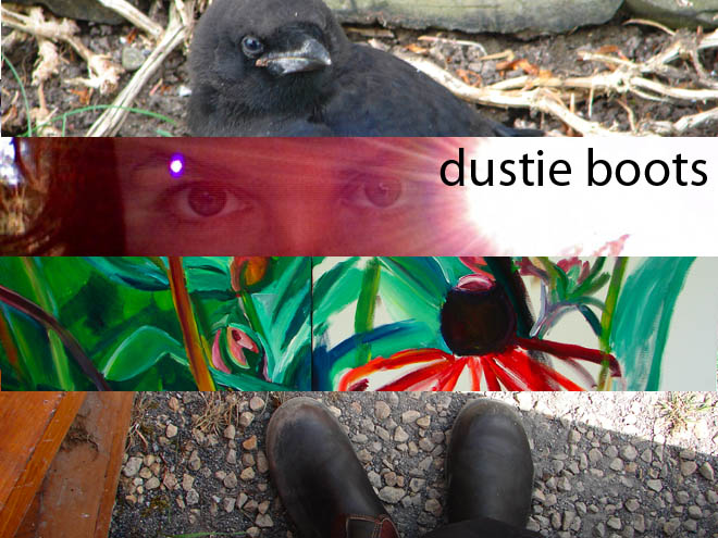 dustieboots