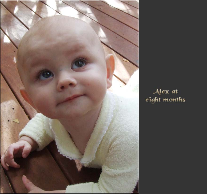 Alex at 8 months