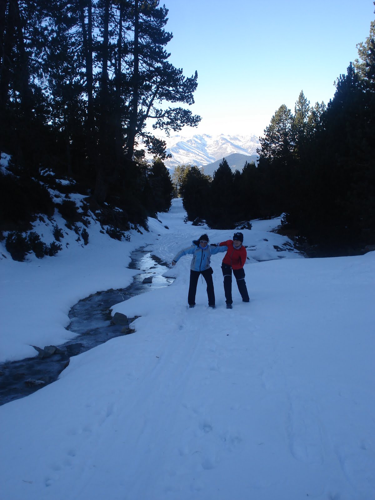 [DSC06465.JPG]