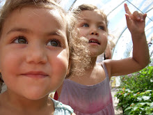 Watching the Butterflies