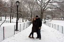 Central park após neve !!