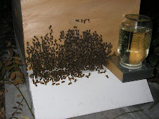 Hive 1