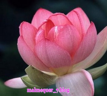 [fQpRGU5OsIc0HHNzthsu.htm]