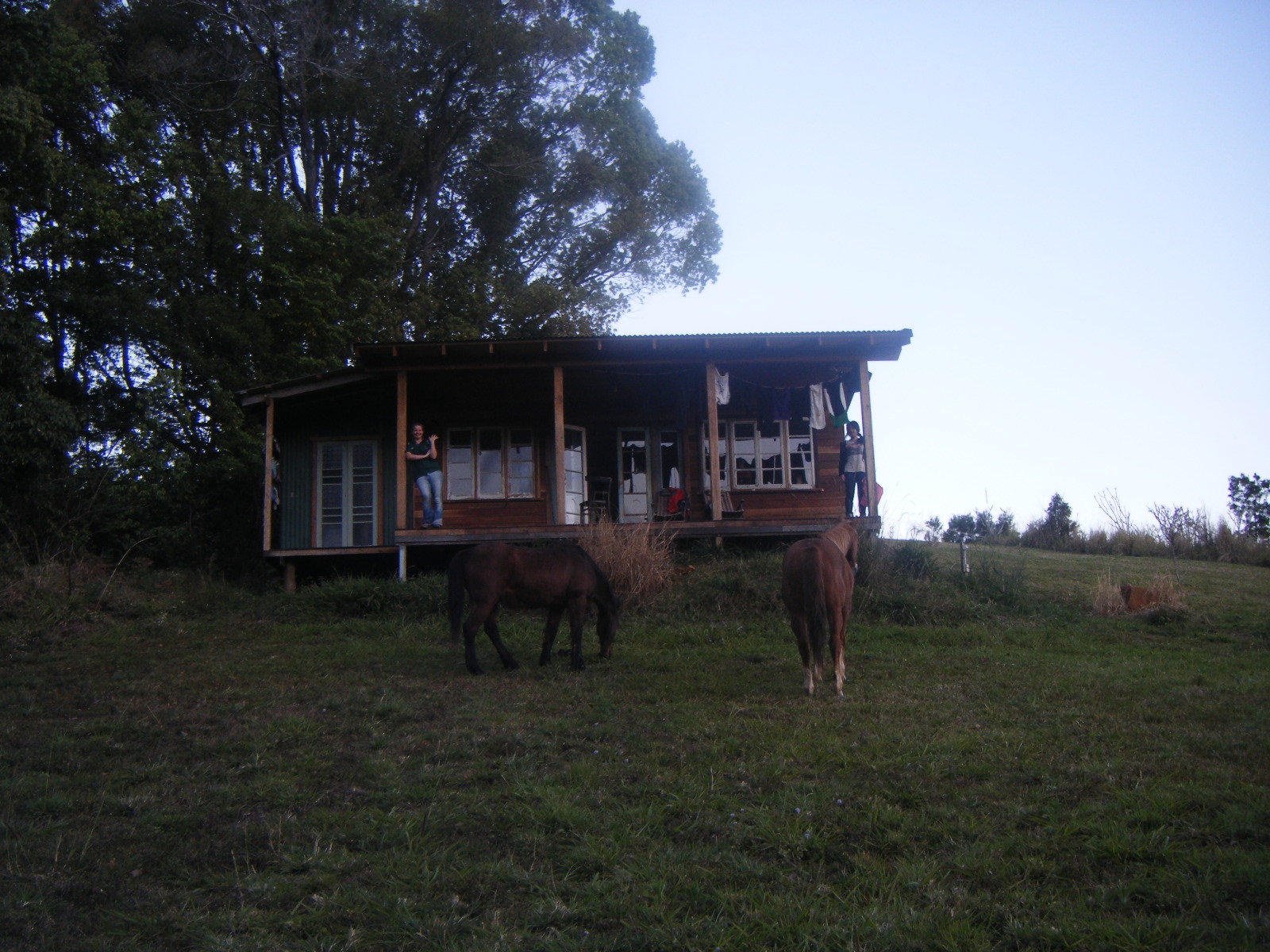 [DSCF9062.JPG]