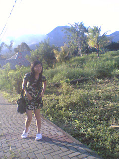 Phya S Diary Januari 2010