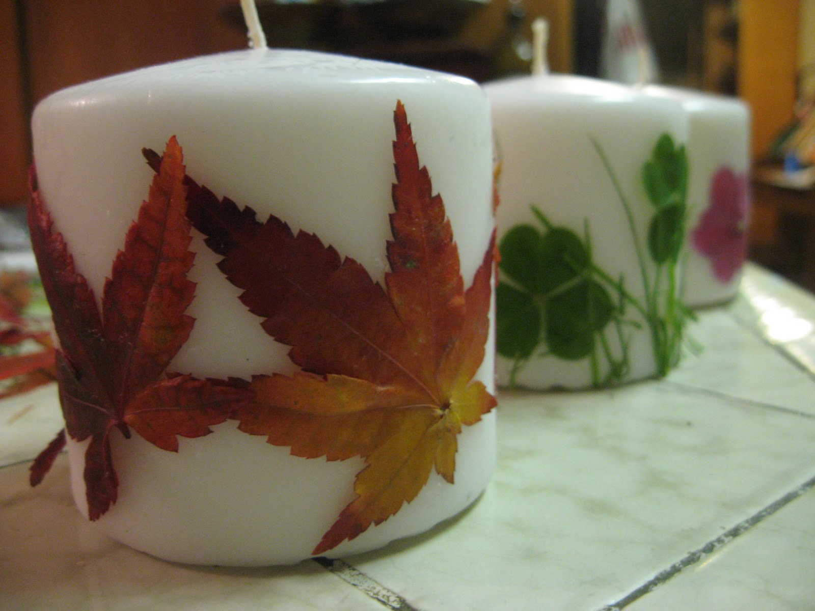 Anonamom How to... Botanical Candles