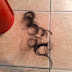 gunting rambut iman..