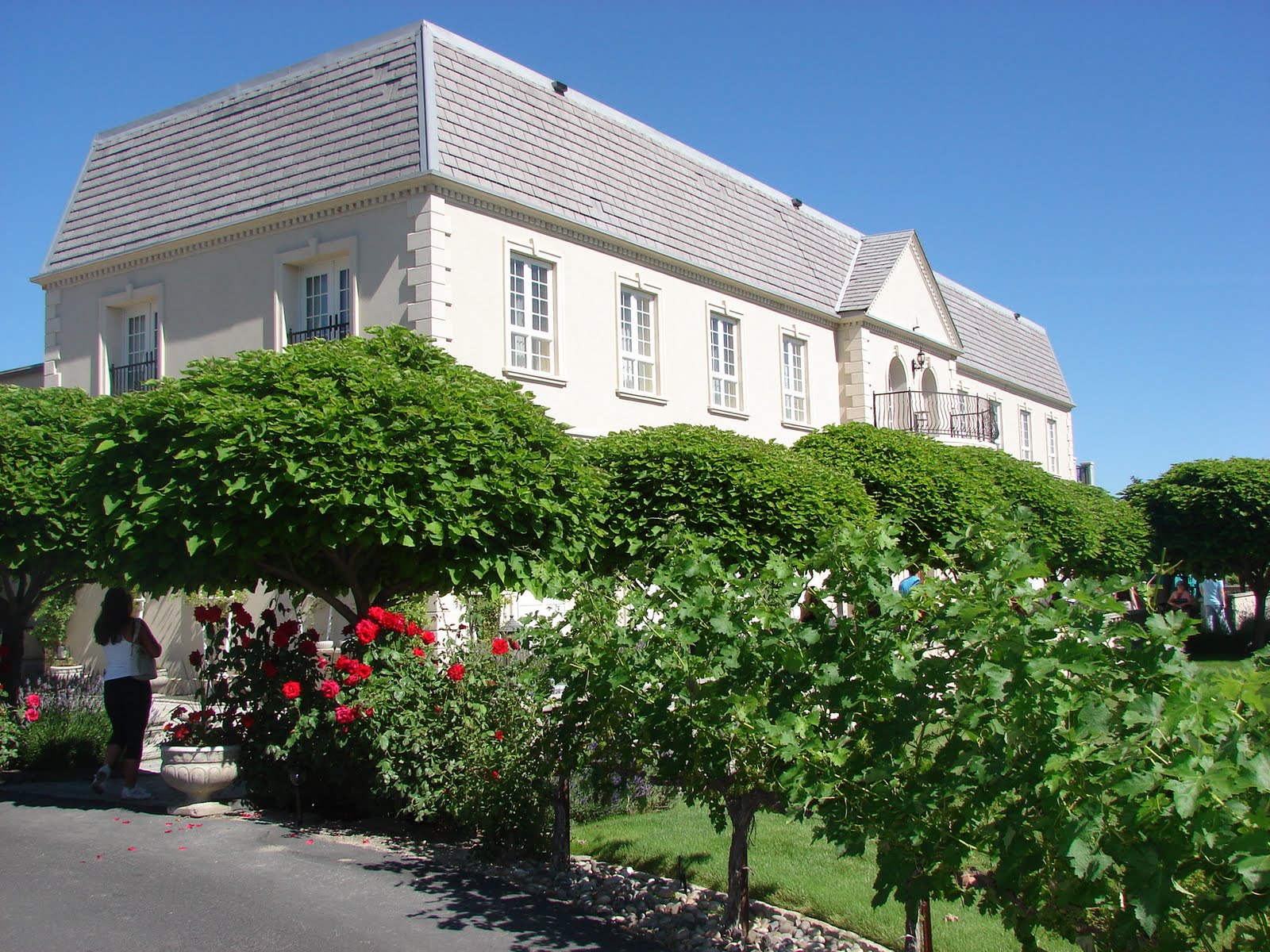 Finally, at Hedges Cellars,