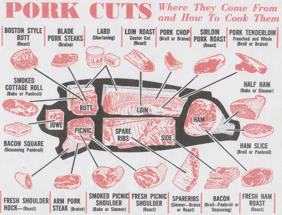 CUTS OF PORK human body