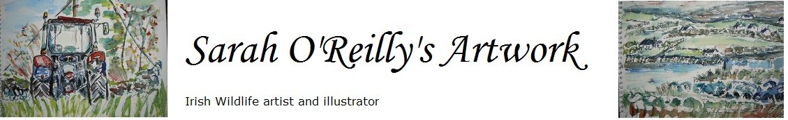 Sarah O' Reilly 's Artwork