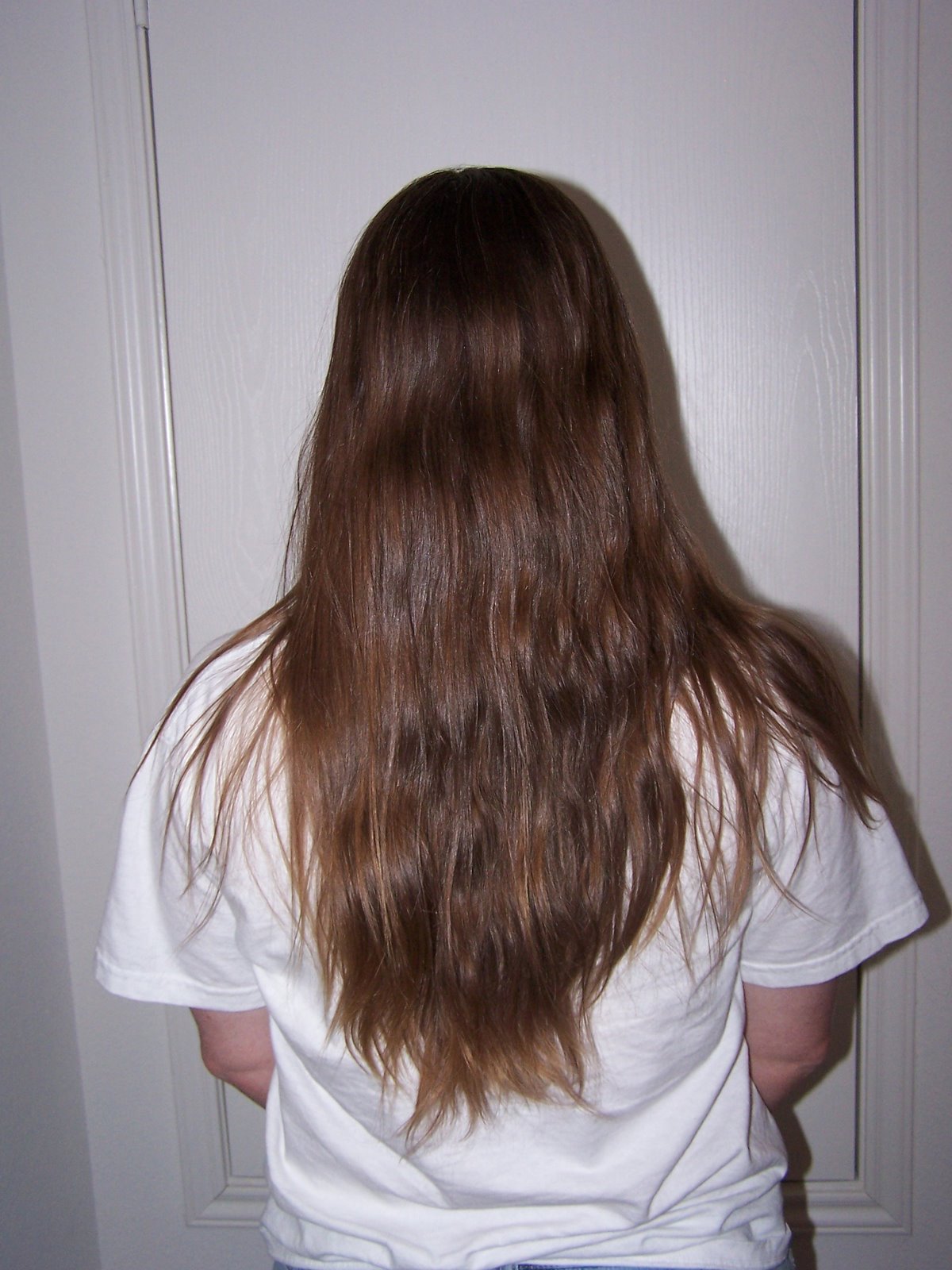 [back_long.JPG]