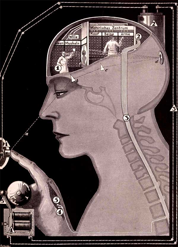 [Khan%20-%20The%20workings%20of%20the%20nervous%20system.jpg]