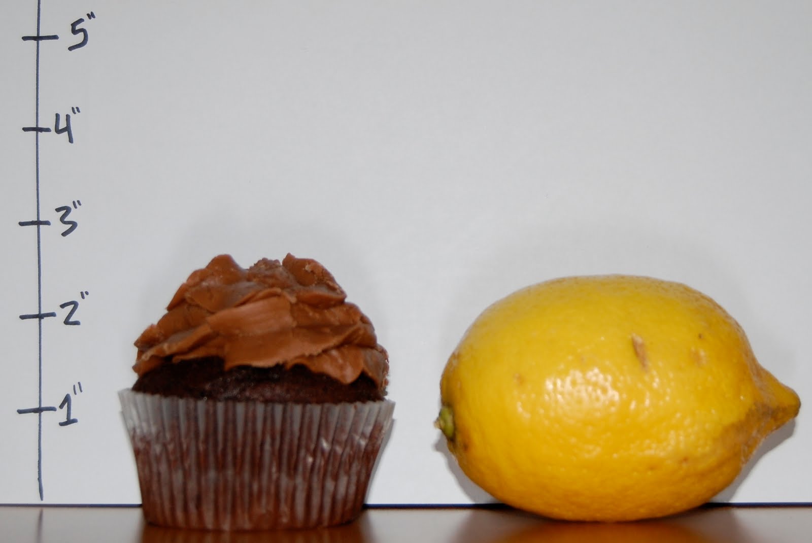 The Cupcake Collection Nashville The Cupcake Collection Nashville