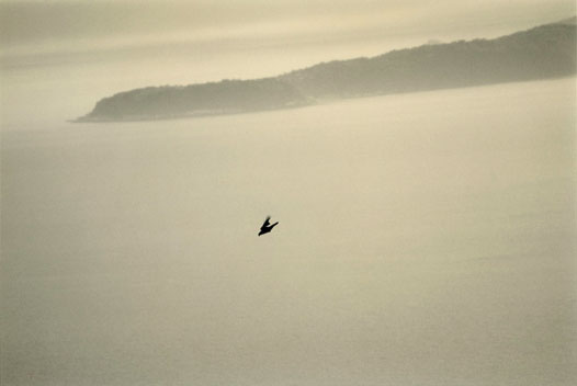 lieux prostituée rennes