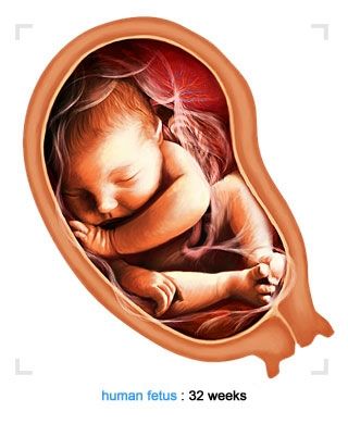 8 month pregnancy tips in tamil