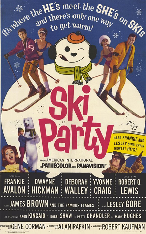 [skiparty.png]