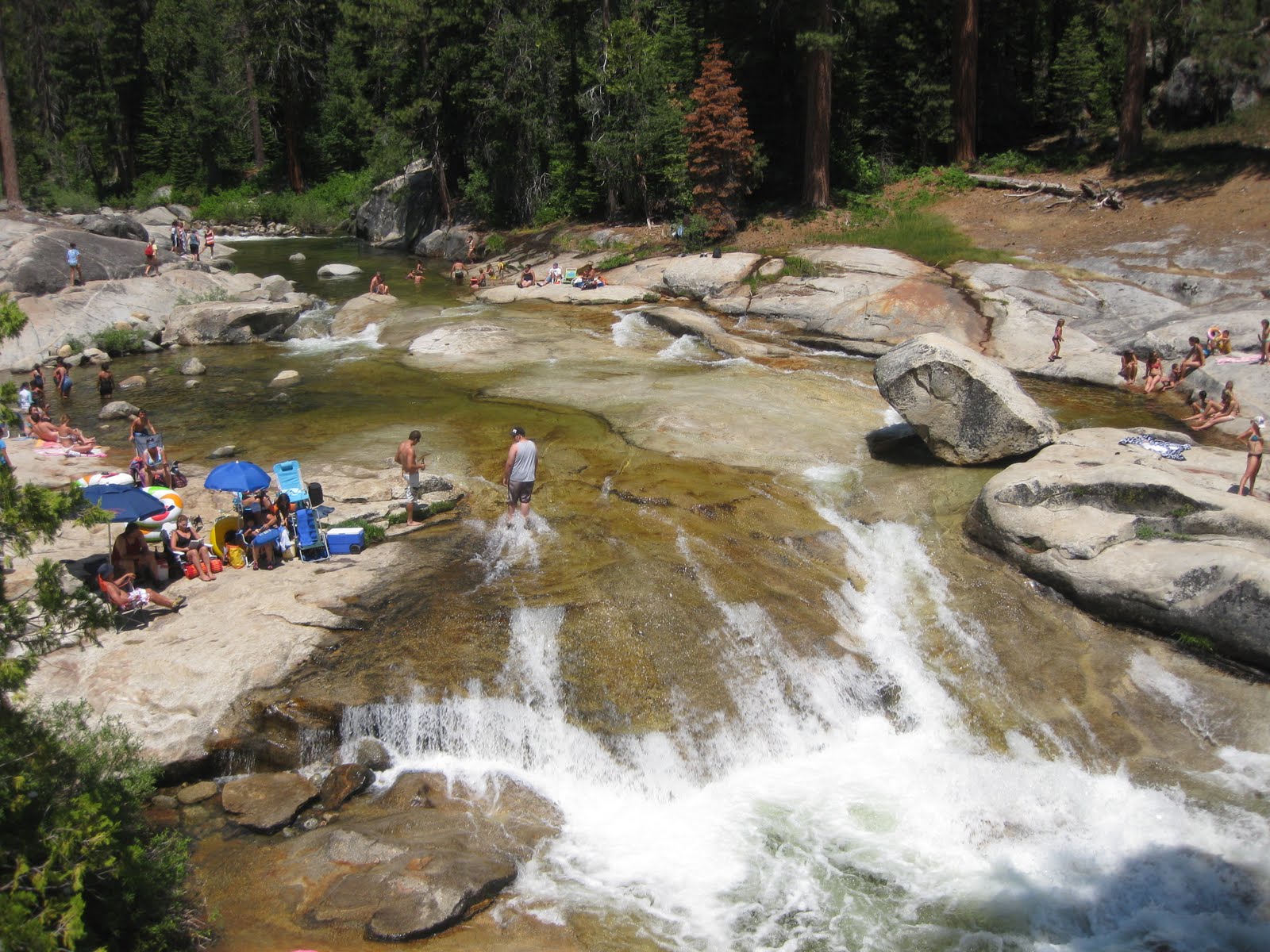 Fertile Ground McKinley Grove (Big Trees!) + Dinkey Creek (Big Jumps!)