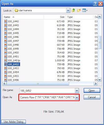 gambar:camera_raw_01.jpg