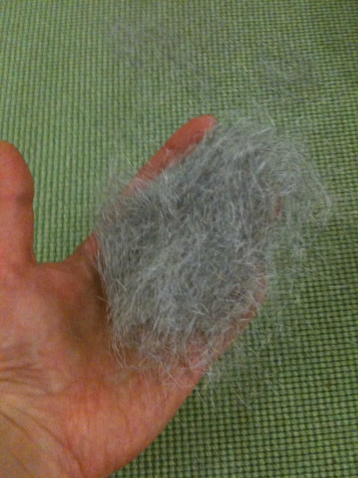 tavsan topi nin gunlugu http www tavsan org tuy dokulmesi