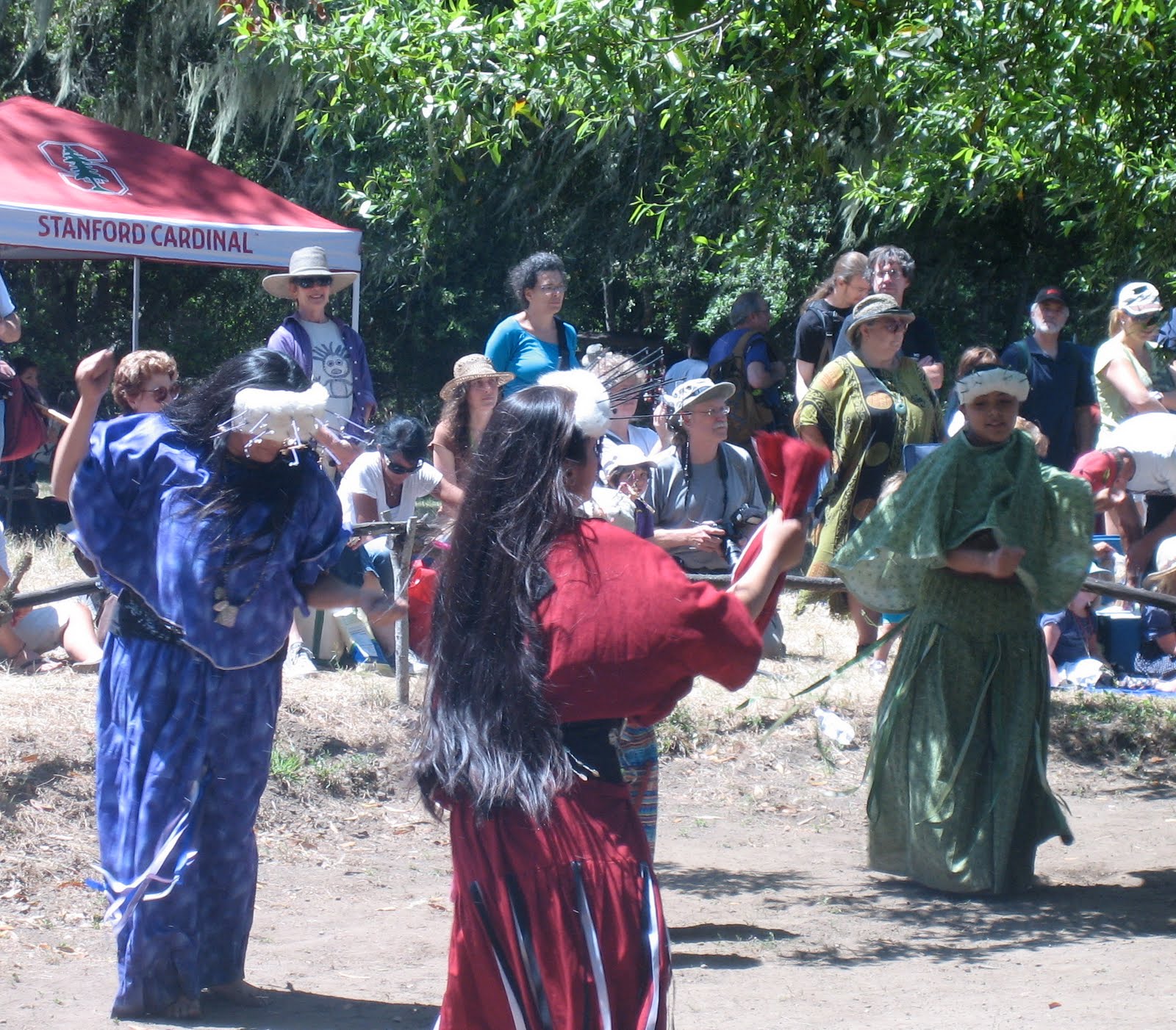 Broomstick Chronicles July 2010