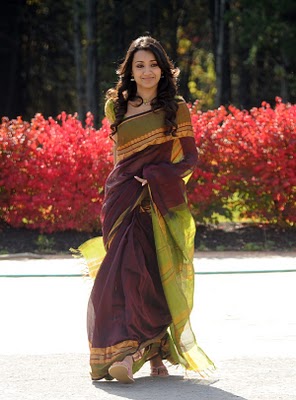 south india actress trisha krishnan hot wet and navel show image gallery