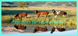 Amantes de los caballos