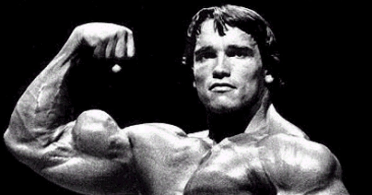 Totally Muscles: Arnie