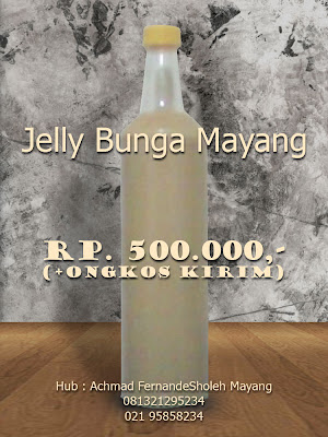 Jelly Madu Bunga Mayang