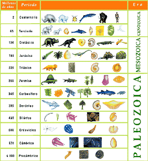 CARACTERISTICA ERA GEOLOGICO caracteristica era geologico: