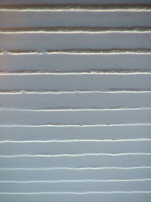 steve biko and civil disobedience