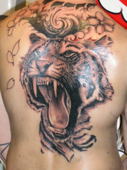 tiger tattoo tiger tattoo on back Diposkan oleh san