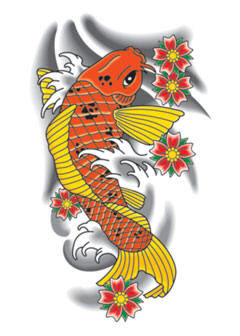 Koi Fish Fish