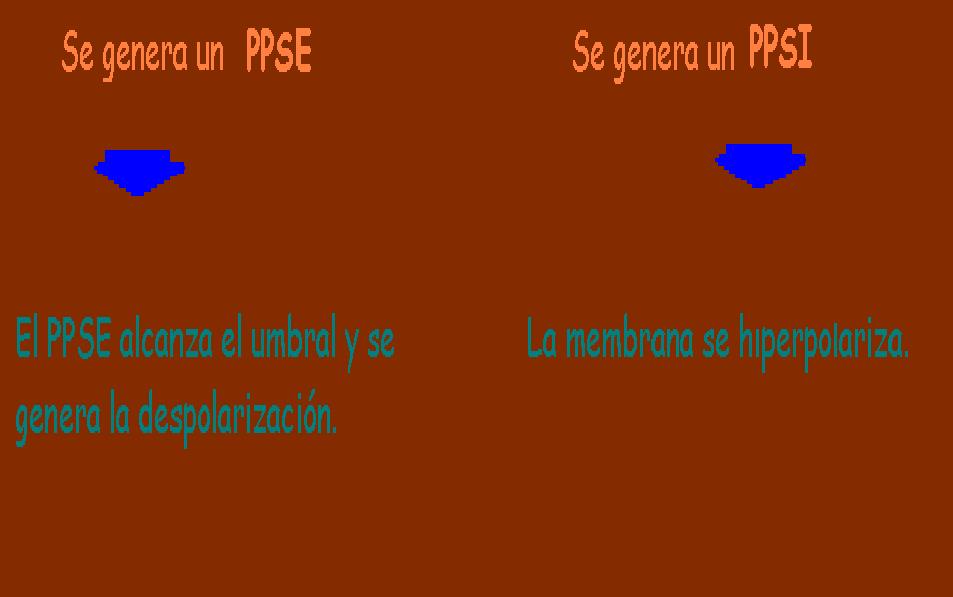 [Generación+del+PPSE+y+PPSI+4.JPG]