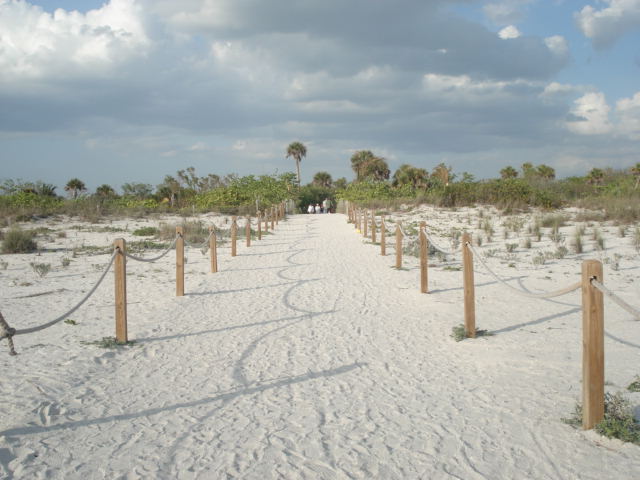 [Picture+080.jpg]