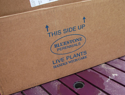 pixelimpress: April 2010