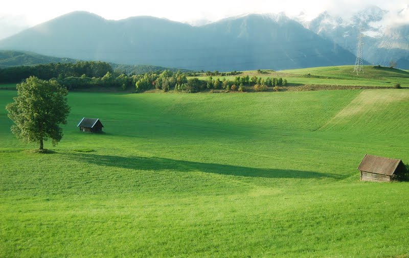 Как выглядит мой рабочий стол. - Форум о дворняжках и метисах