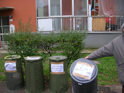 IMMONDIZIA IN CORTILE