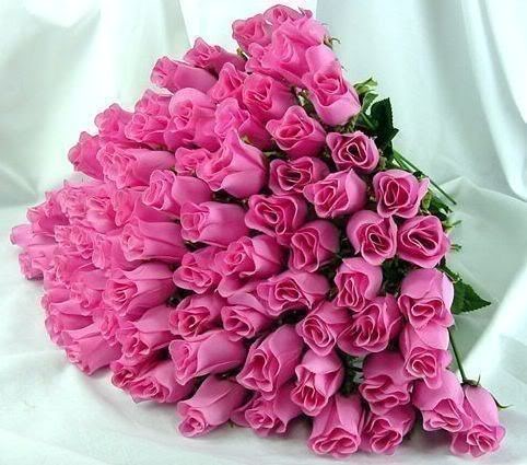 30+pink+roses.jpg