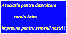 ADER Aries