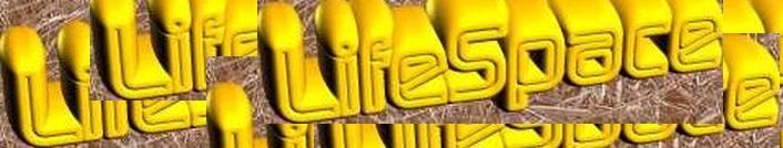 LifeSpace
