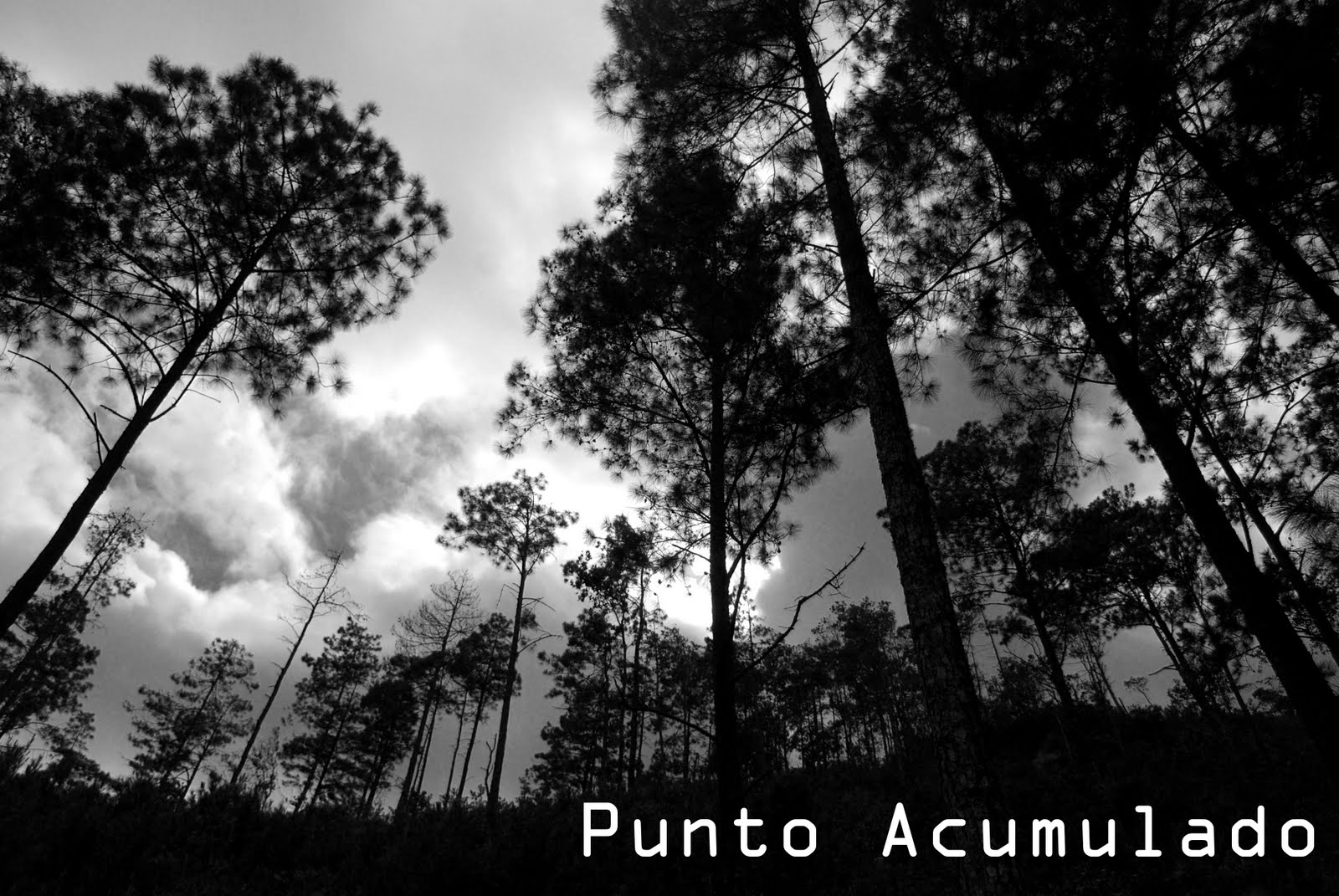 Punto Acumulado