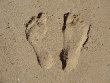 Footprints on Cape Cod