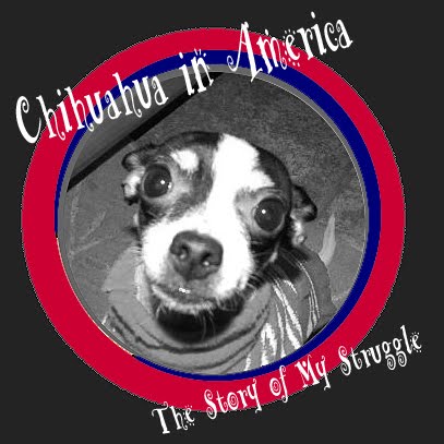Chihuahua in America: The Story of My Struggle