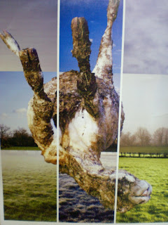 rencontres yaoundé cameroun