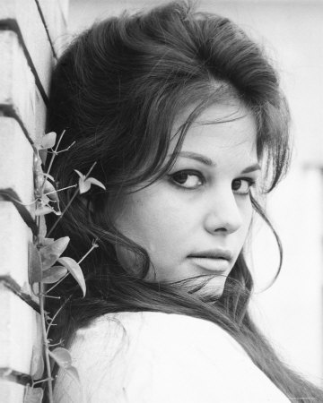 claudia cardinale claudia cardinale