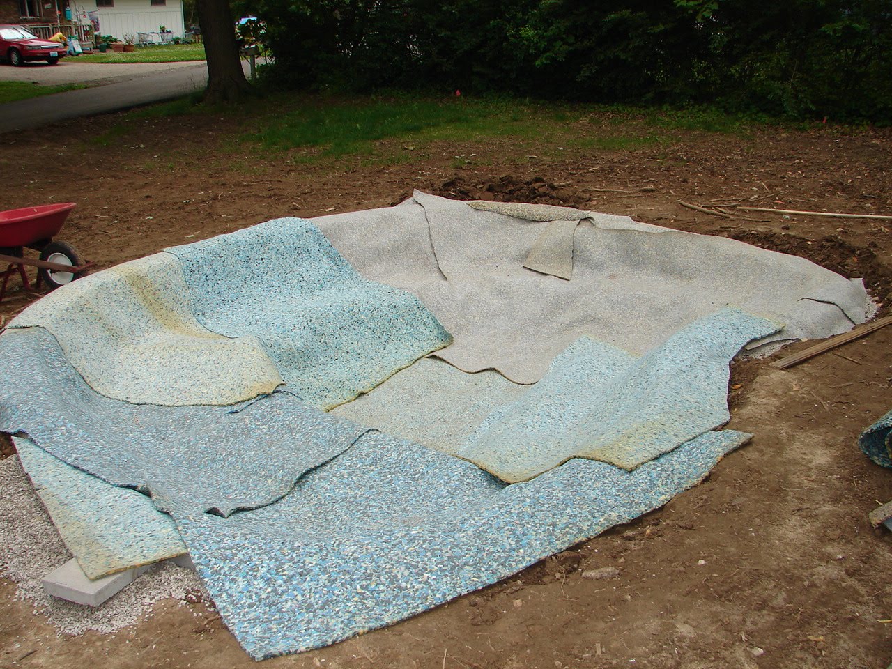 GardenRambler Pond progression photos
