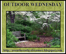 [Outdoor+Wednesday+logo.png]