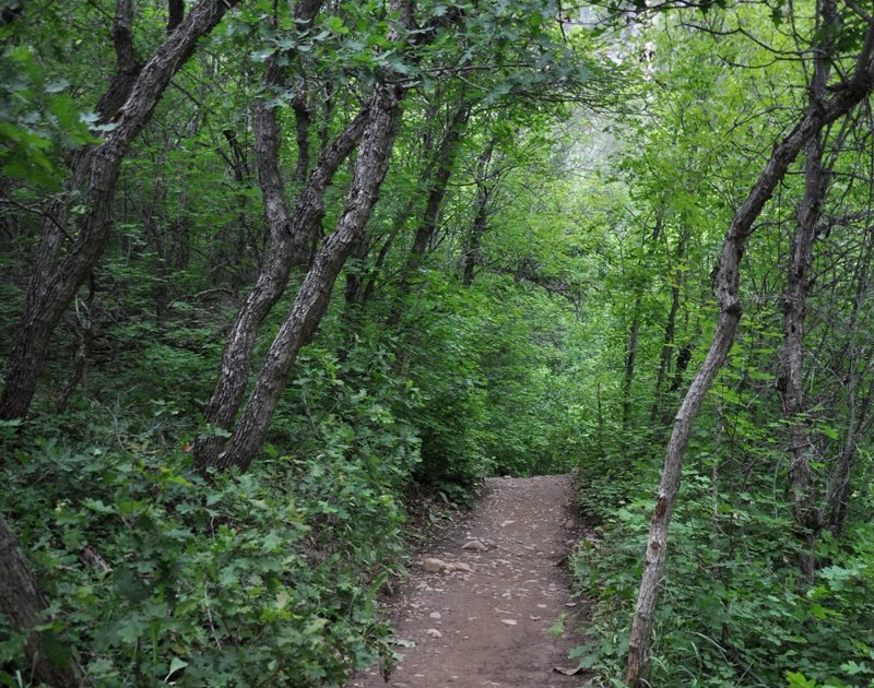 What's Up with Michael Fifth Water Hot Springs, Spanish Fork Canyon