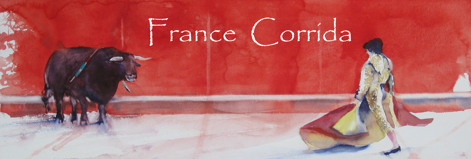 France Corrida : règles de la tauromachie, art et passion dans l'arène      aficionados